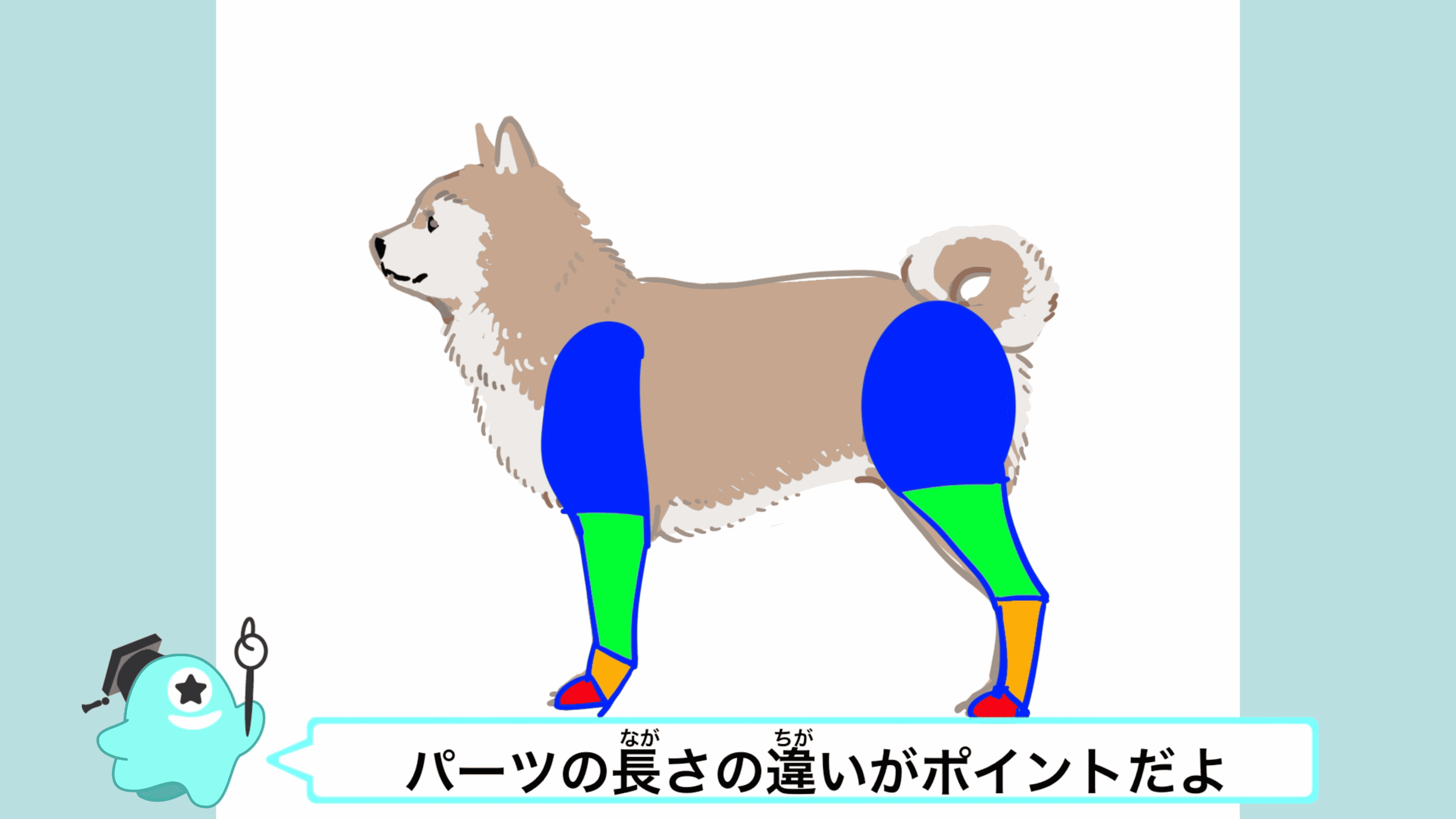 初心者も簡単！可愛い柴犬のイラストの描き方 - オンラインイラスト教室アタムアカデミー