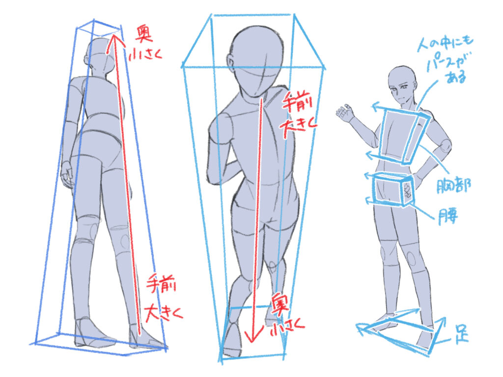 パース と は