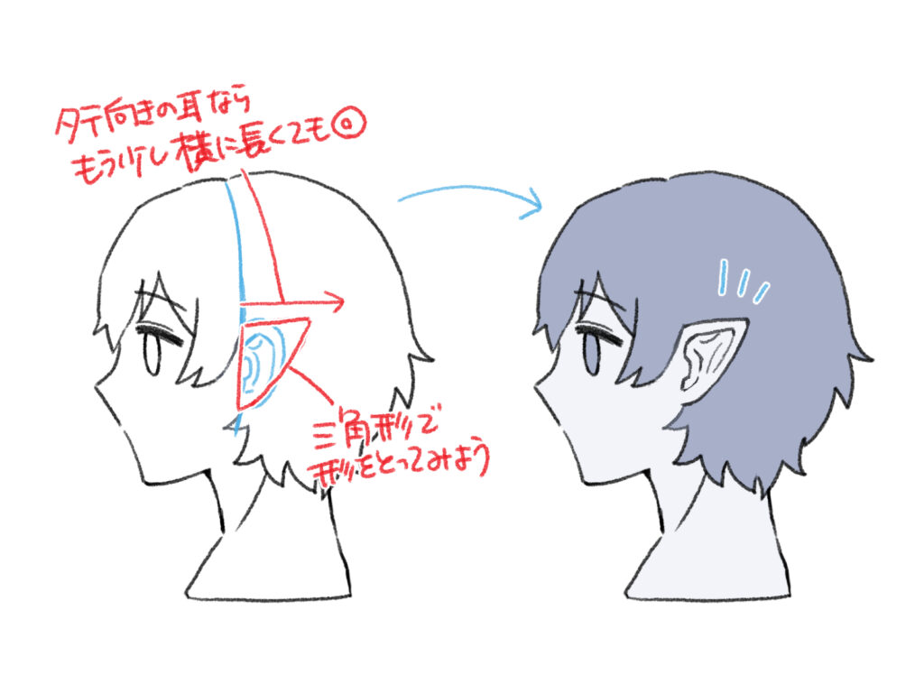 横 耳