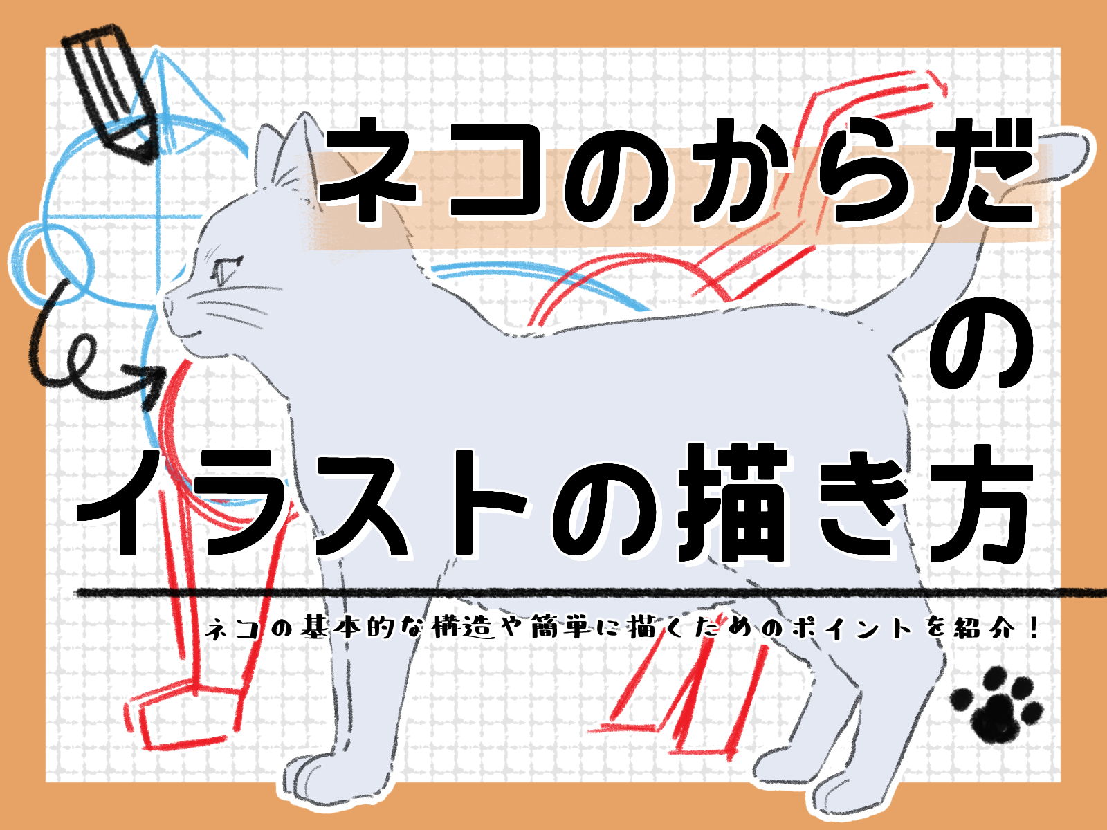 初心者も簡単！猫のからだのイラストの描き方 - オンラインイラスト 
