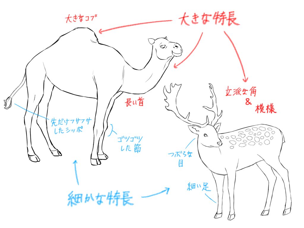 書き やすい 動物