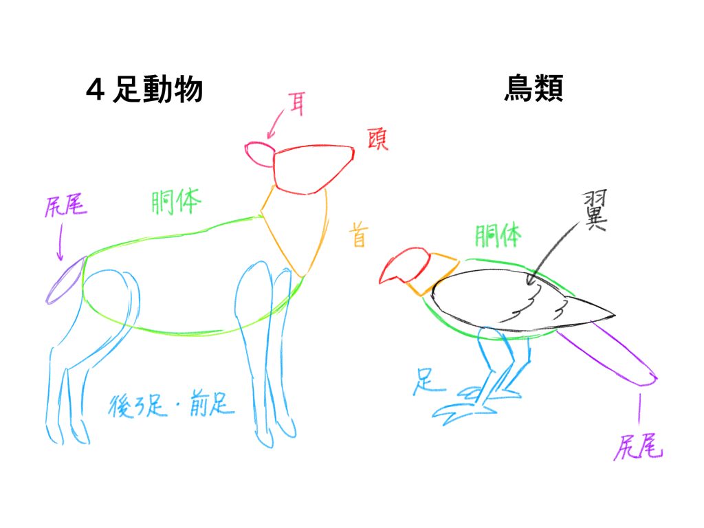 書き やすい 動物