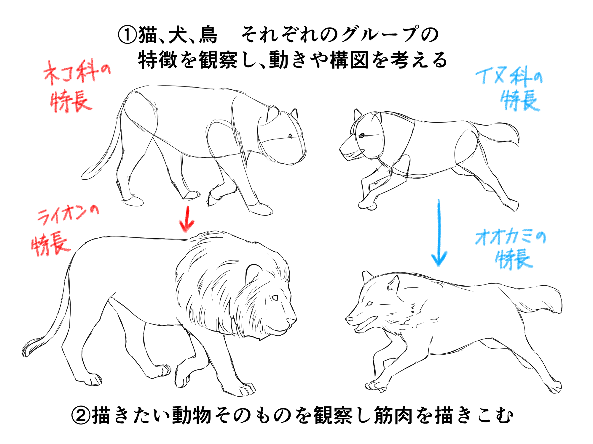 書き やすい 動物