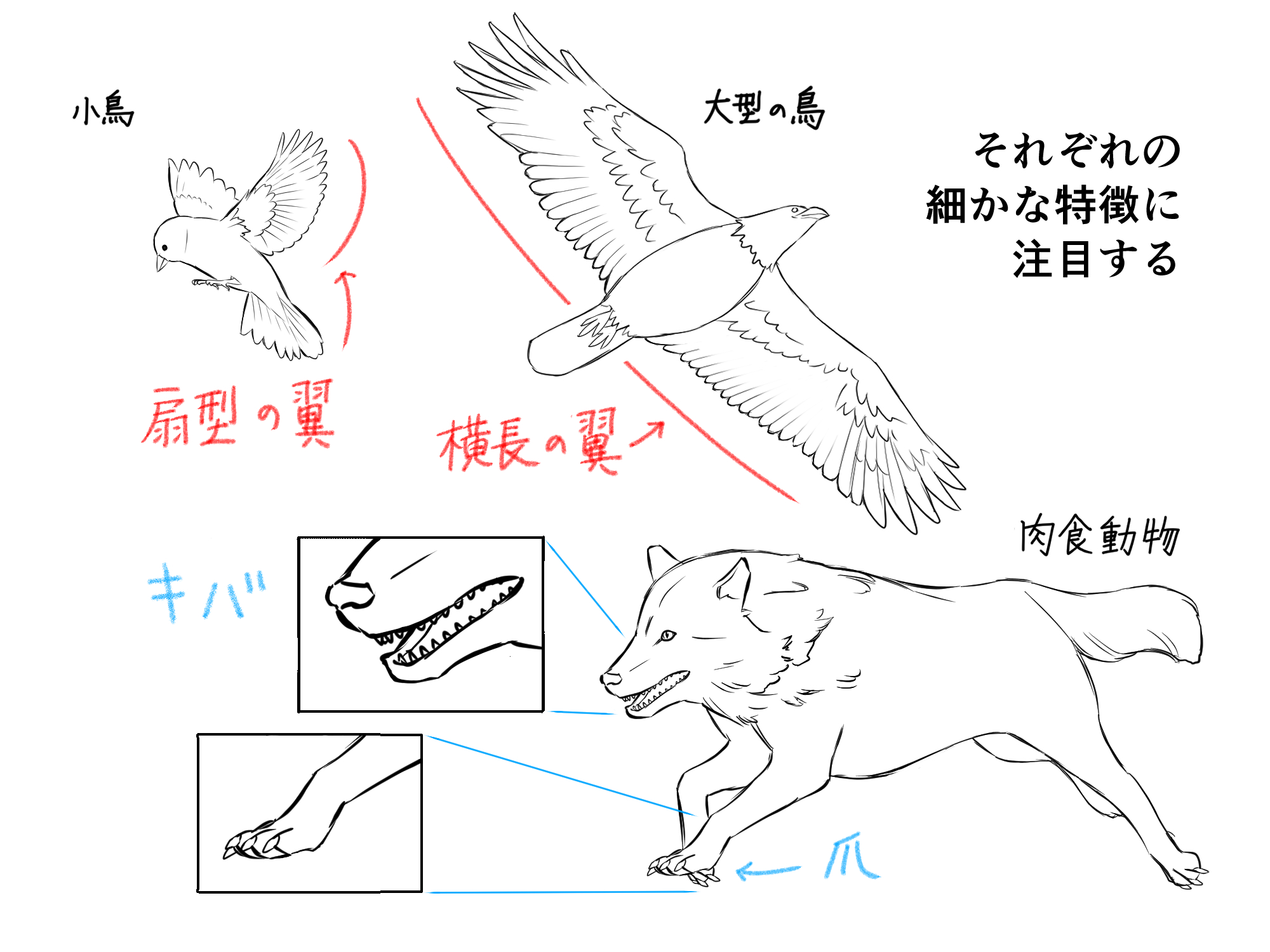 書き やすい 動物