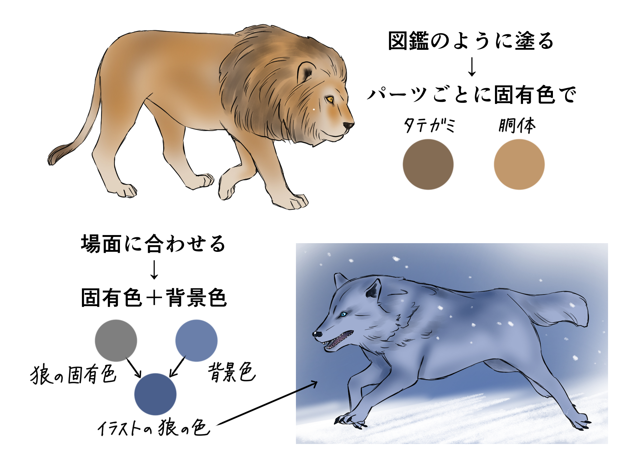 活動歴および当時の関連ビジュアル記録