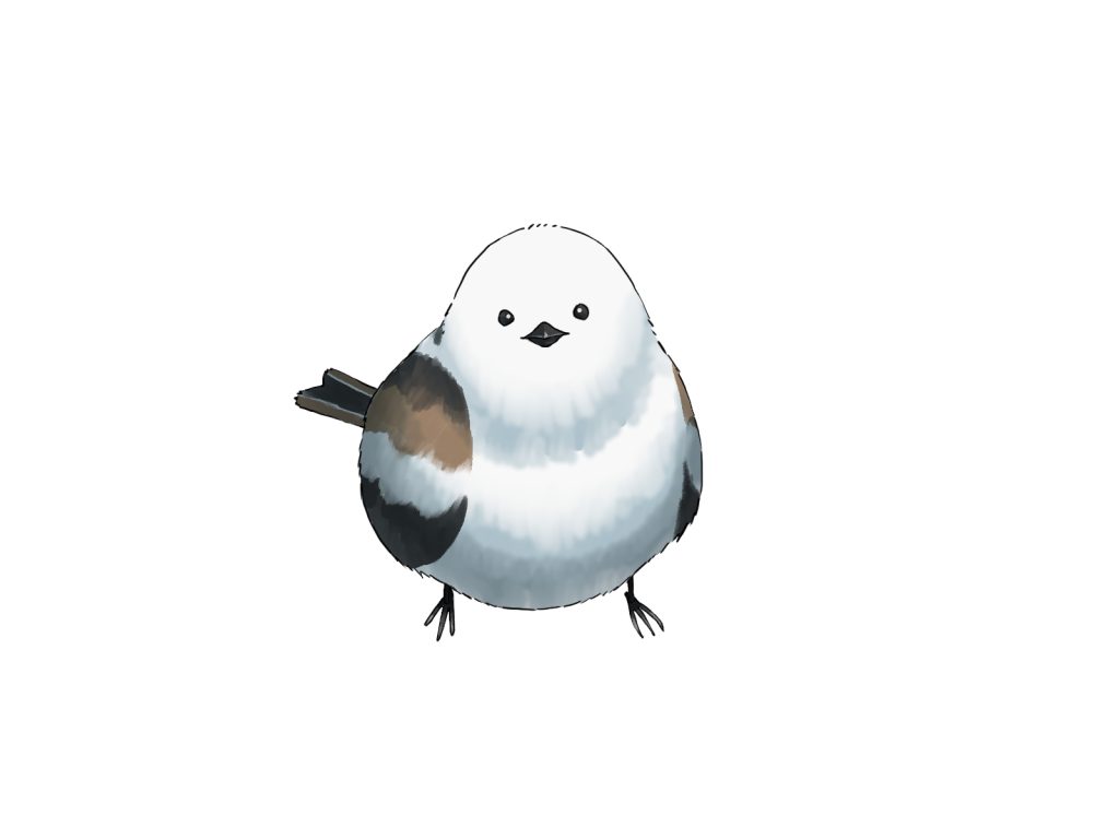 初心者も簡単！シマエナガのイラストの描き方 - オンラインイラスト 