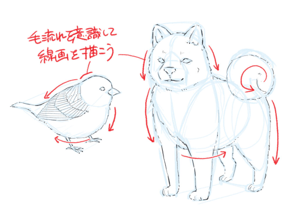 書き やすい 動物