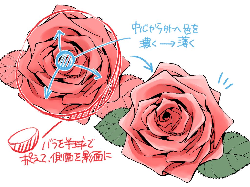 初心者も簡単！バラのイラストの描き方 - オンラインイラスト教室