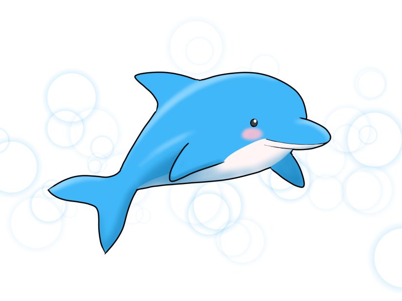 初心者も簡単！イルカのイラストの描き方 - オンラインイラスト教室  
