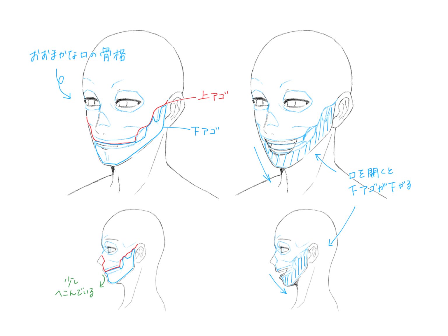 初心者も簡単！口のイラストの描き方 - オンラインイラスト教室アタムアカデミー
