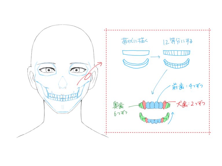 初心者も簡単！口のイラストの描き方 - オンラインイラスト教室アタムアカデミー