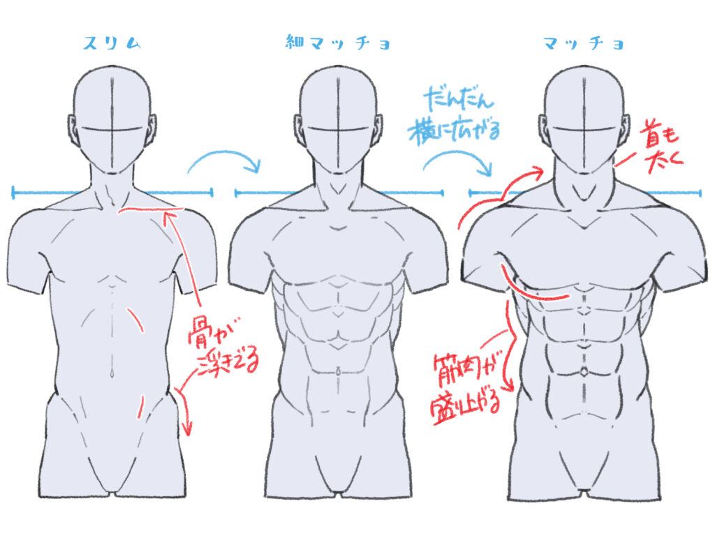 上半身 描き 方