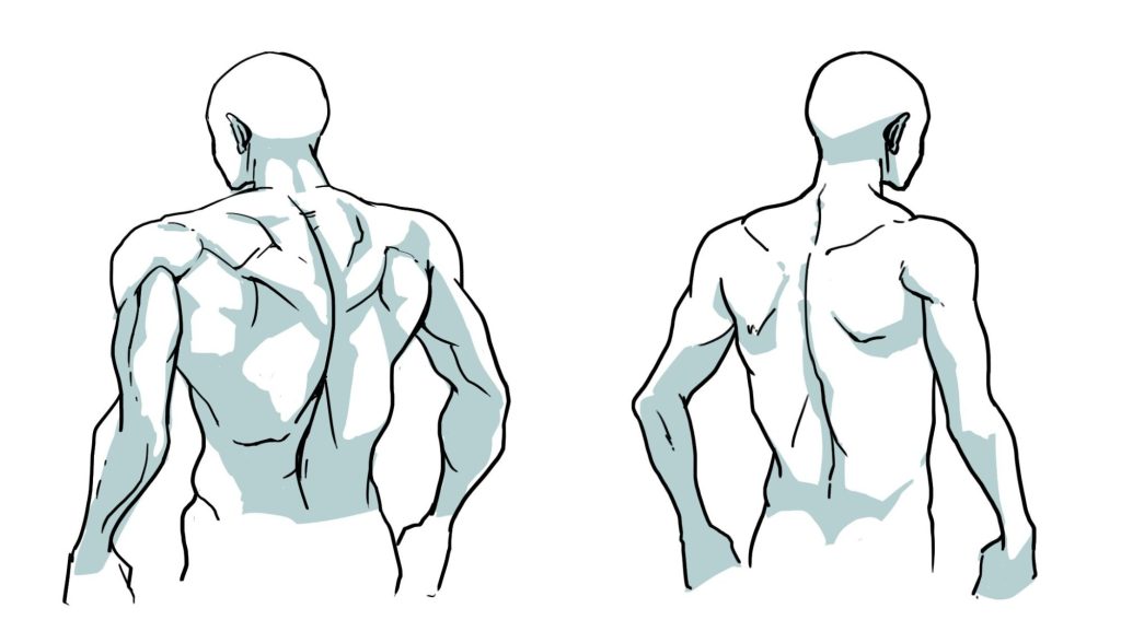初心者も簡単!男性の筋肉のイラストの描き方 - オンラインイラスト教室アタムアカデミー