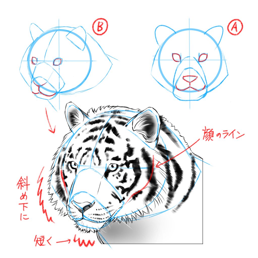 虎 イラスト 簡単