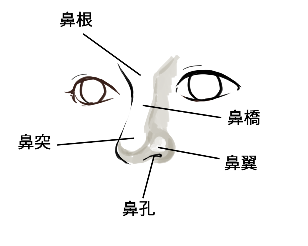 初心者も簡単!鼻のイラストの描き方 - オンラインイラスト教室アタムアカデミー