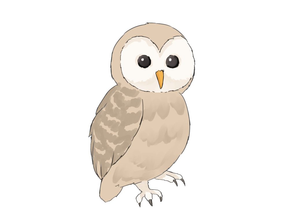 初心者も簡単！フクロウのイラストの描き方 - オンラインイラスト教室 