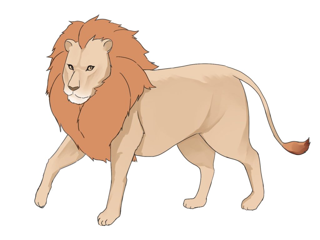 ライオン の 絵