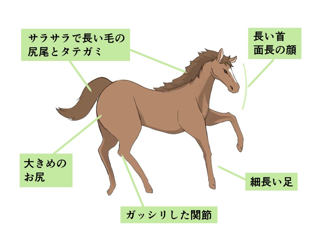 ウマの絵, image size:1024x768