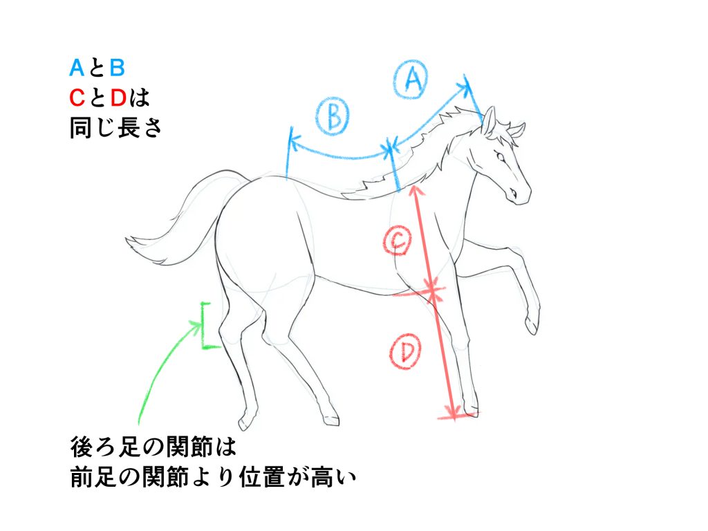 馬 の 書き方
