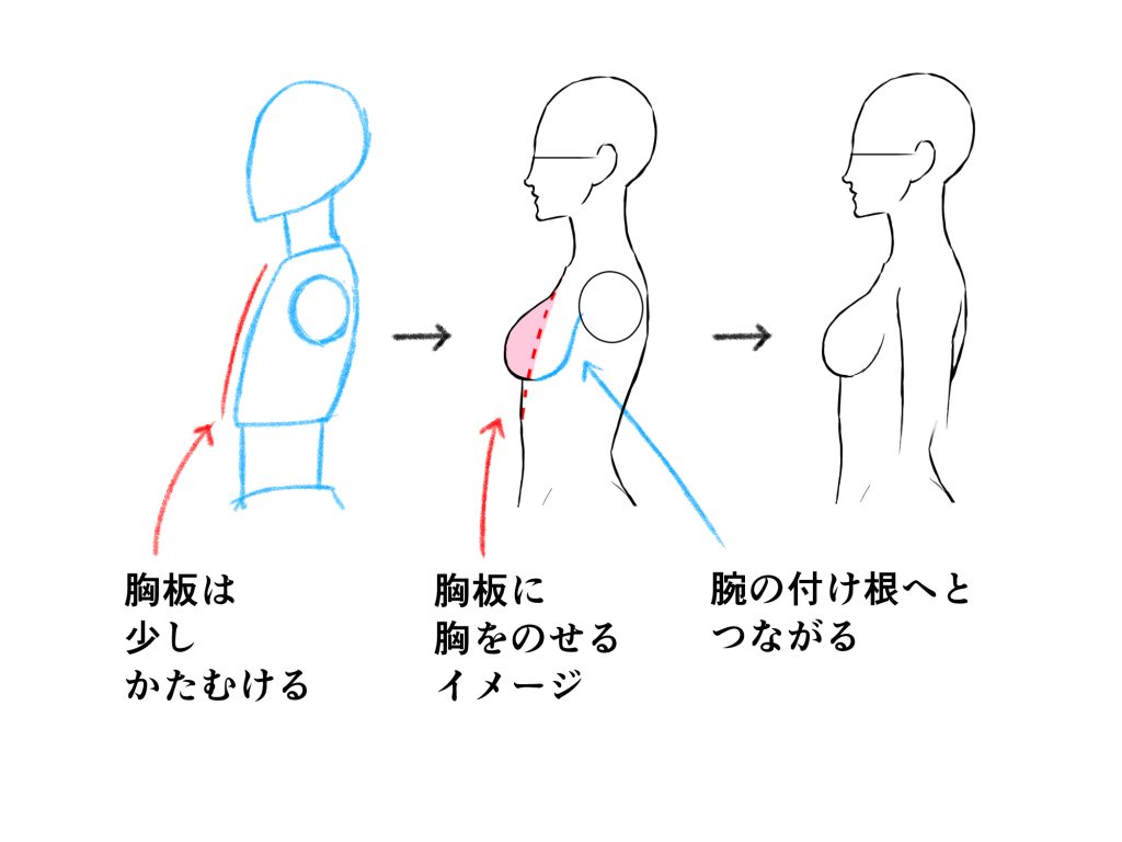 横 おっぱい
