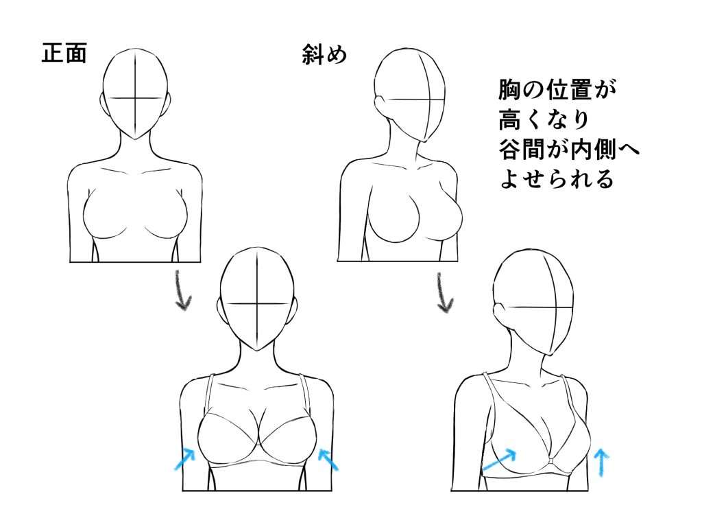 おっぱい の 書き方