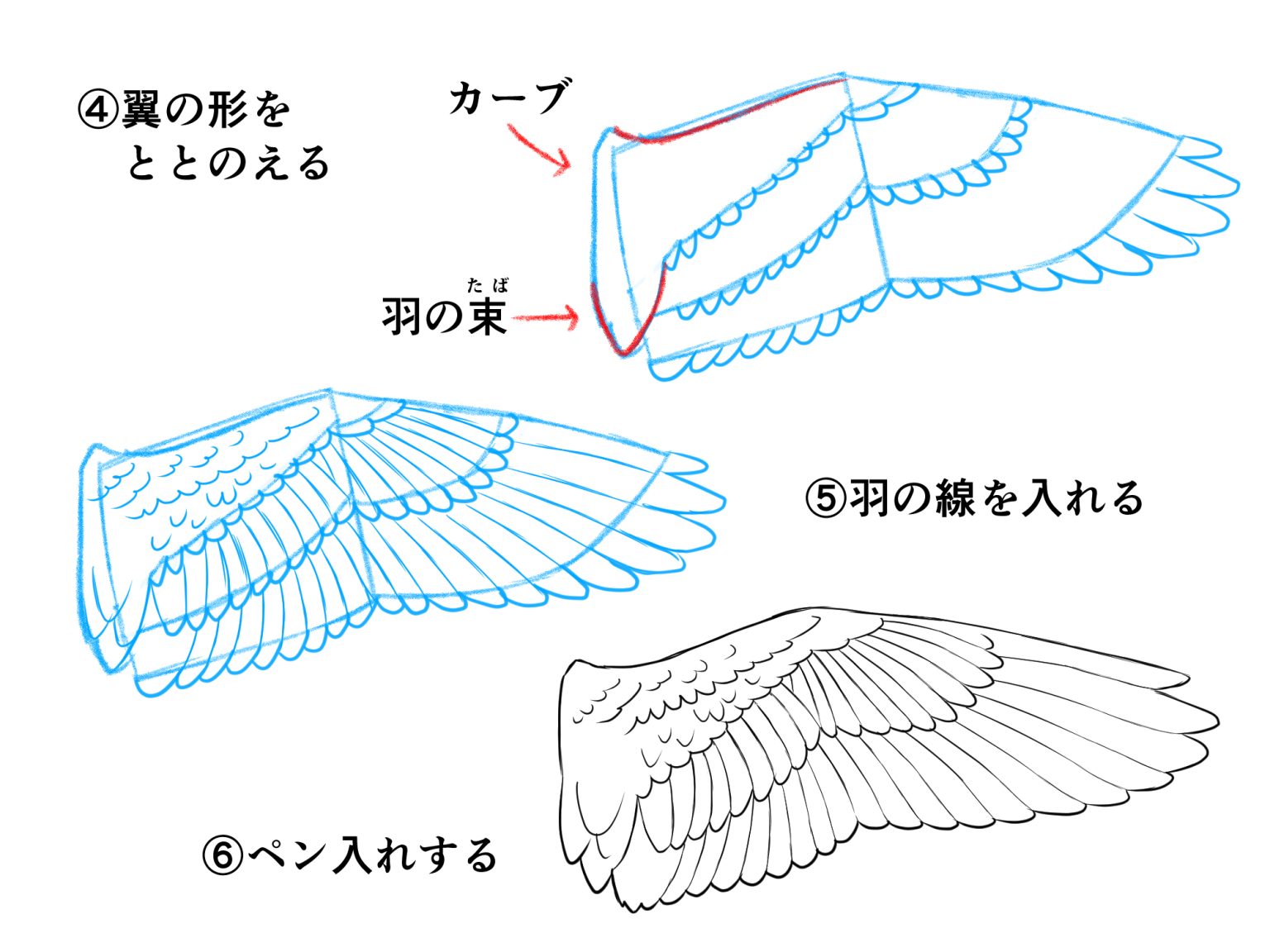 初心者も簡単！翼のイラストの描き方 - オンラインイラスト教室アタムアカデミー
