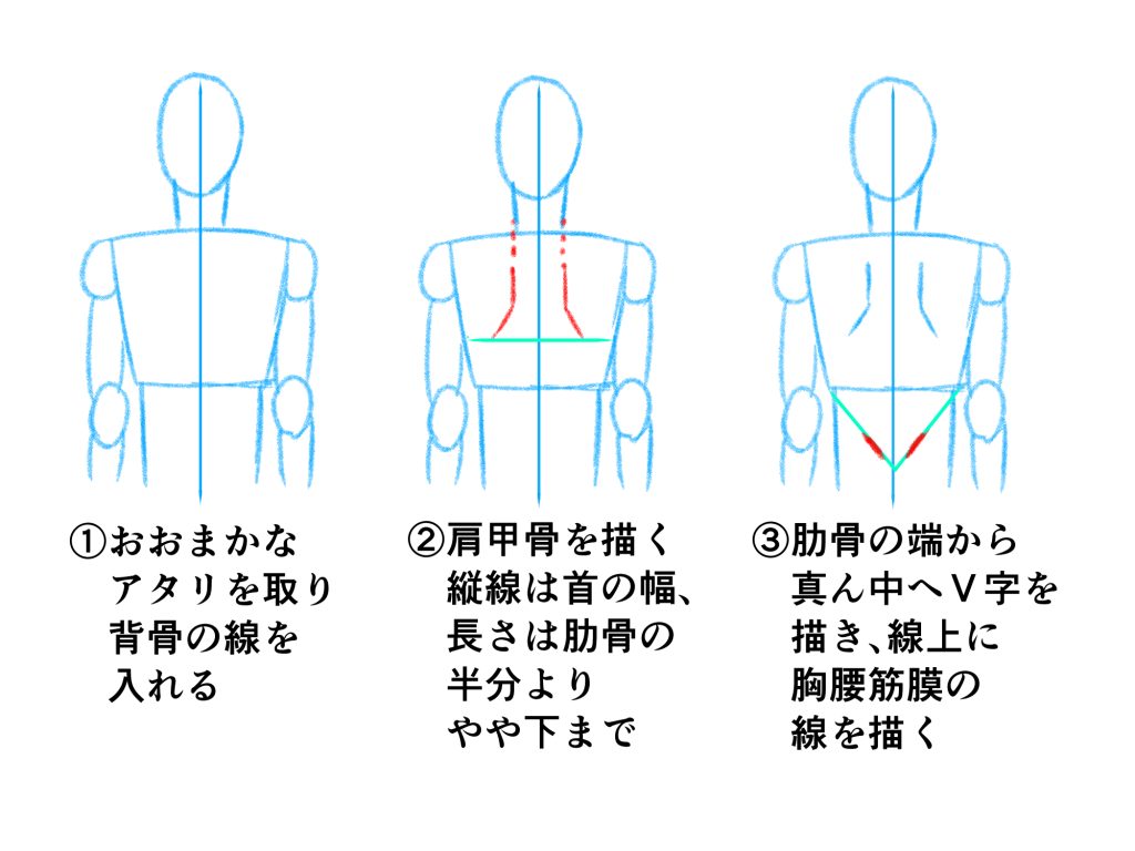 初心者も簡単！背中のイラストの描き方 - オンラインイラスト教室 