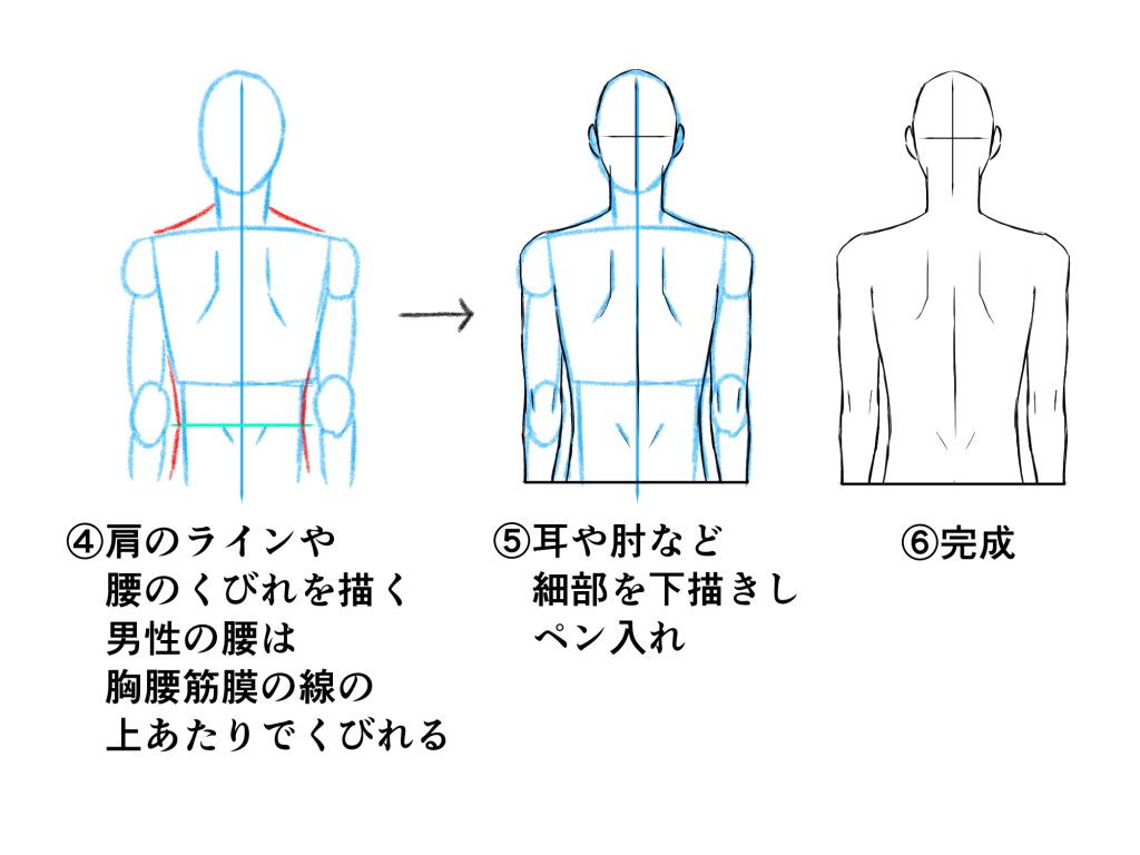 初心者も簡単！背中のイラストの描き方 - オンラインイラスト教室 