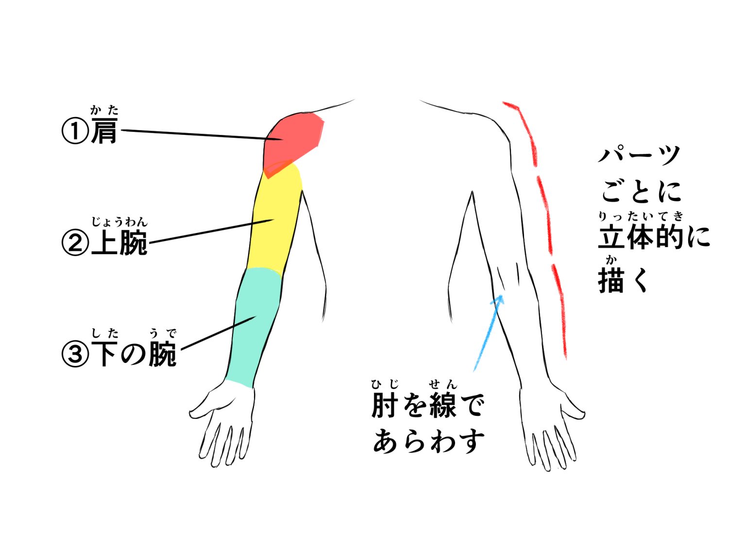 初心者も簡単!腕のイラストの描き方 - オンラインイラスト教室アタムアカデミー