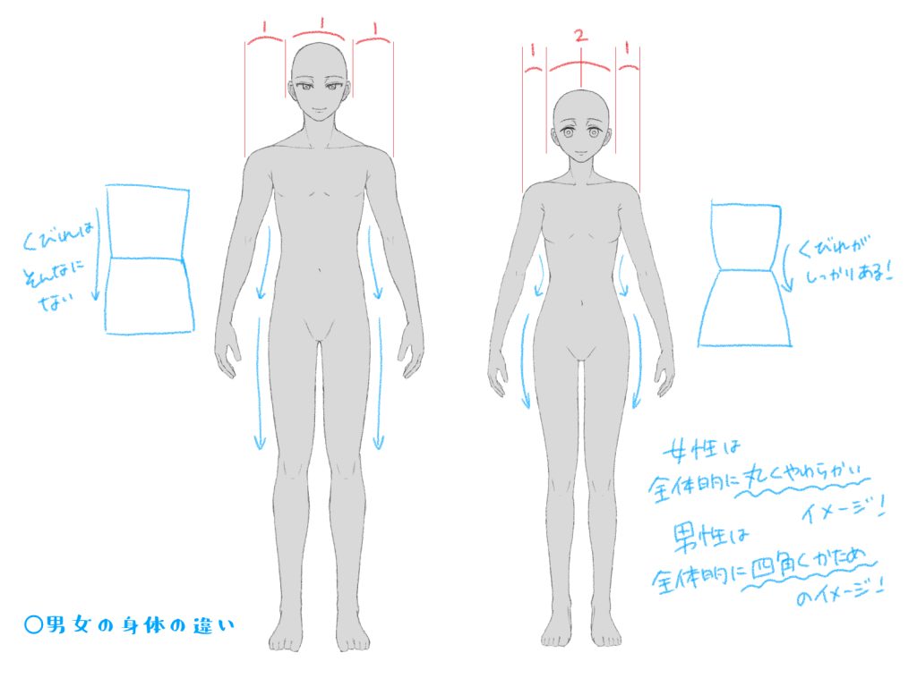 体 の 書き方