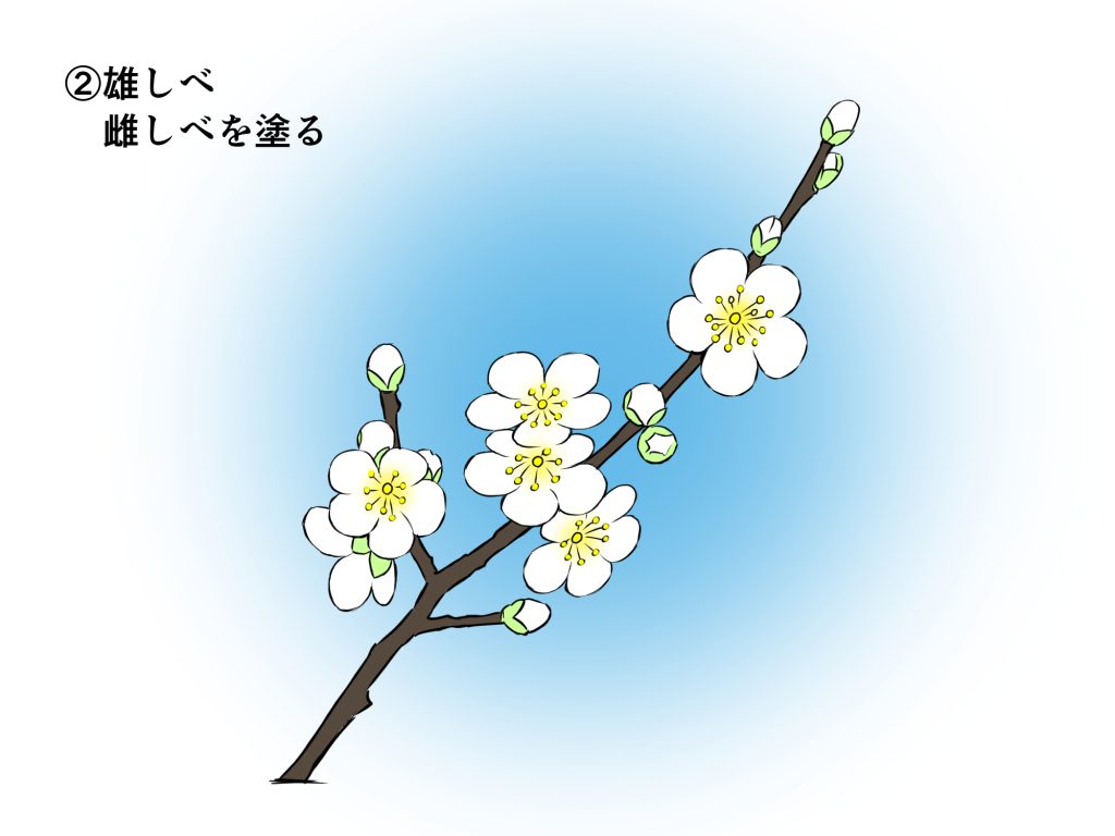 梅 の 花 イラスト