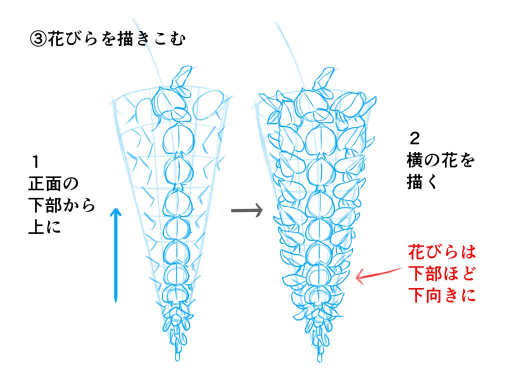 藤 の 花 イラスト 簡単