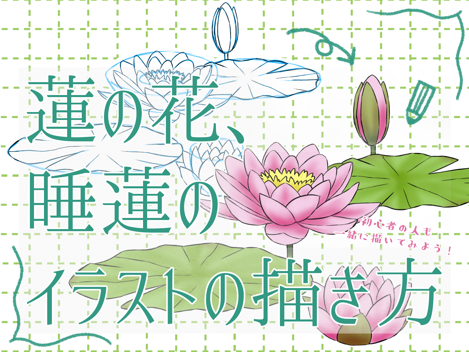 初心者も簡単！蓮の花・睡蓮のイラストの描き方 - オンラインイラスト 