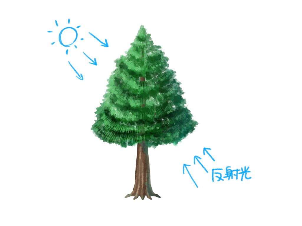 木 の 描き 方