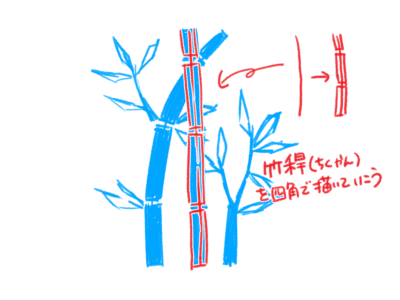 初心者も簡単!竹のイラストの描き方 - オンラインイラスト教室アタムアカデミー