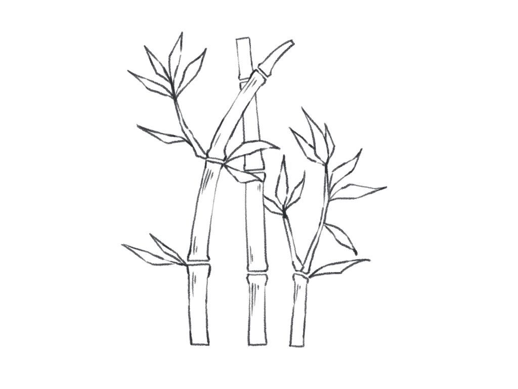 竹 の 書き方