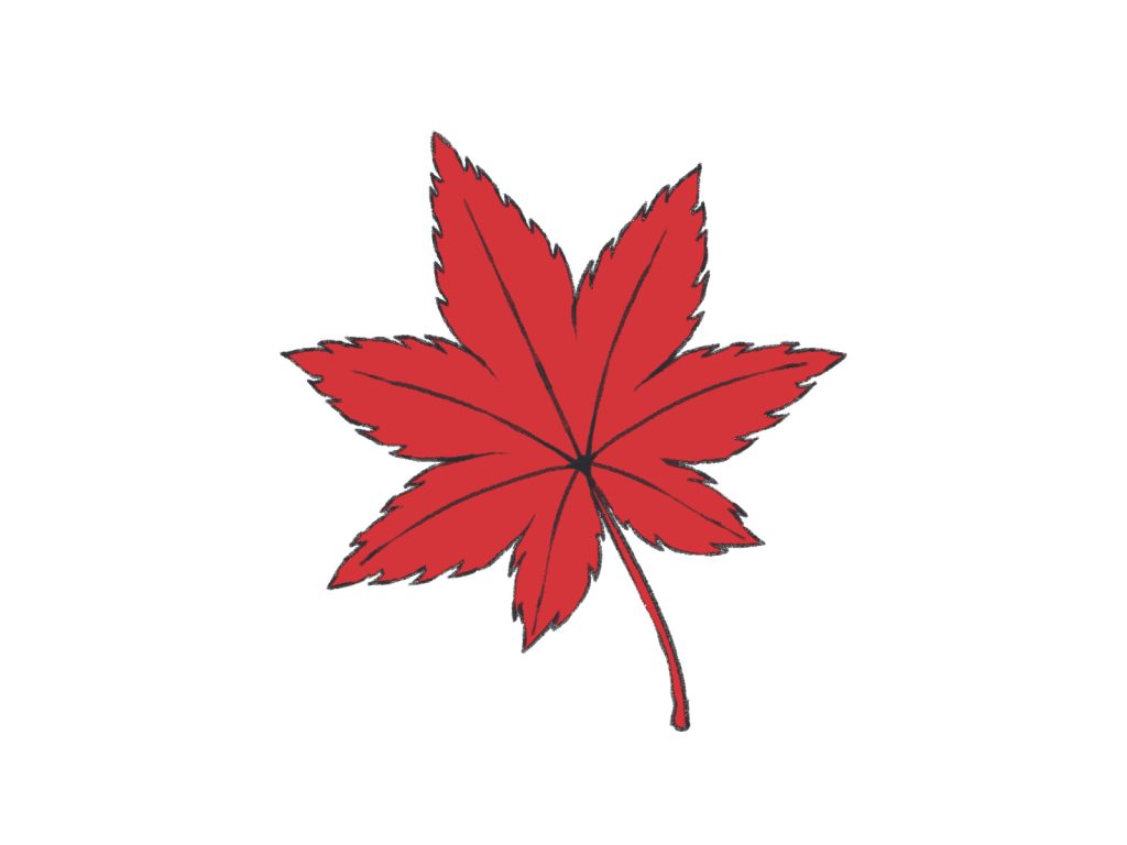 初心者も簡単！紅葉のイラストの描き方 - オンラインイラスト教室 