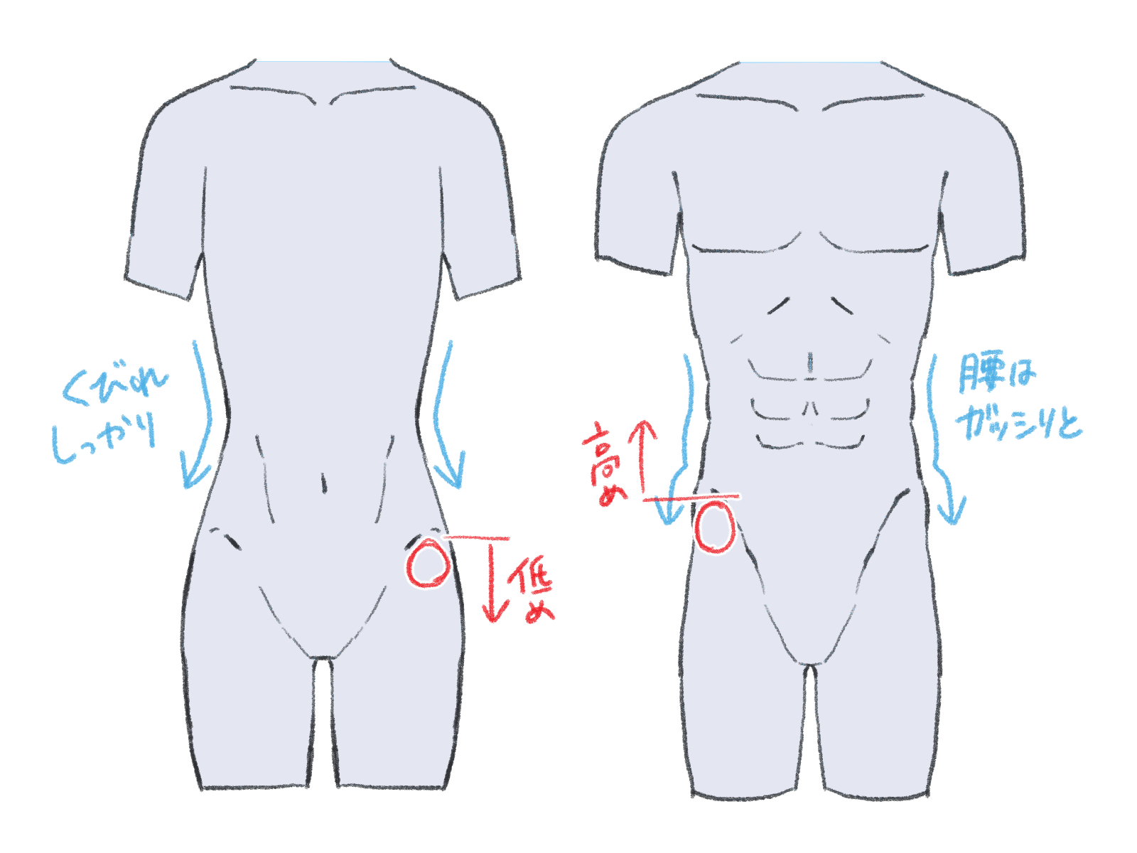 初心者も簡単！腰のイラストの描き方 - オンラインイラスト教室アタムアカデミー