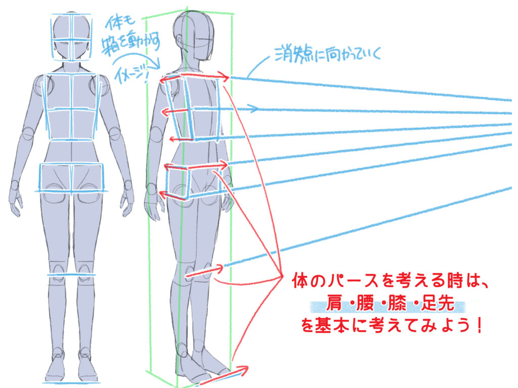 初心者も簡単！人物パースの描き方 - オンラインイラスト教室アタム 