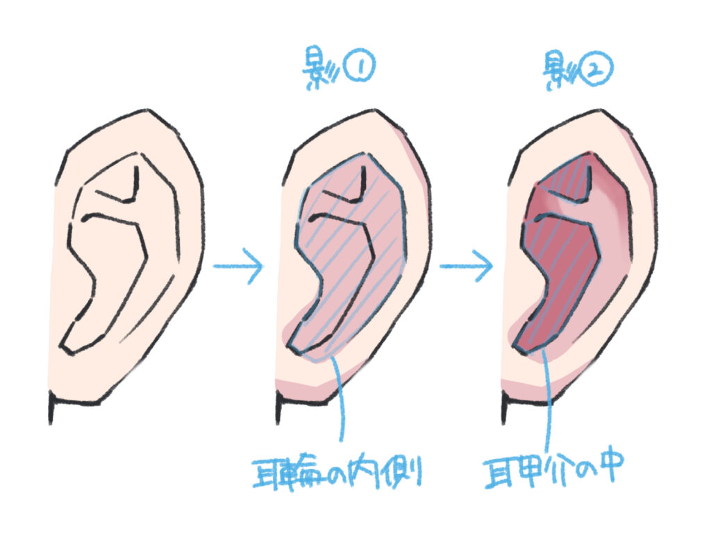 耳 の 描き 方