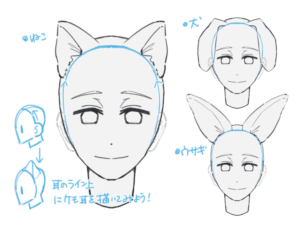 耳 の 描き 方